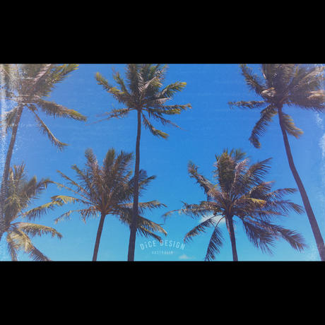 5e37050294cf7b7f74e7de1b