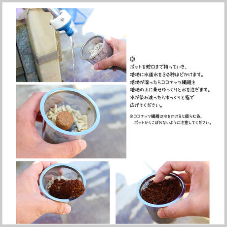 5c12045dc3976c5b7453d5cb