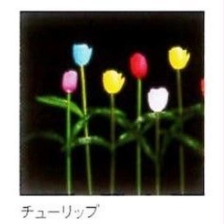 5b7e5a625496ff042d0009c7