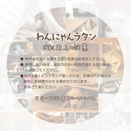 598a9f93428f2d778b0008ae