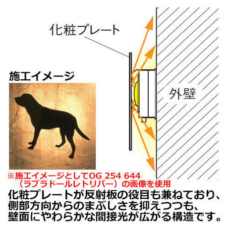 582912c9100315ace5011834