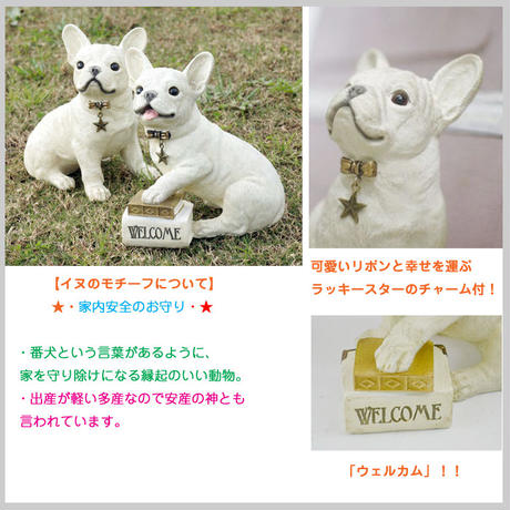 5ba093dd5f786616c50007cc