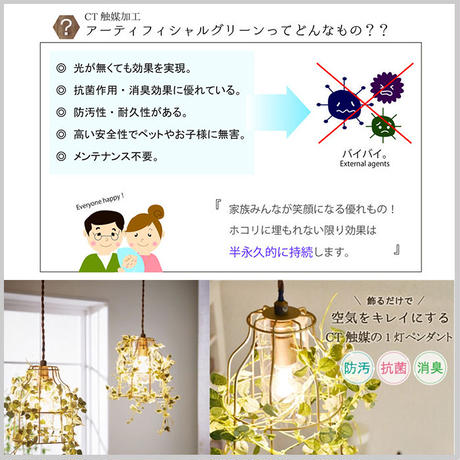 5d96f80b5b61b407f4b855a7