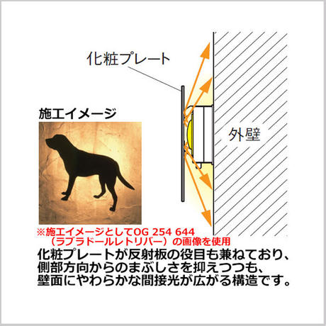 58291a03100315fe93010c95