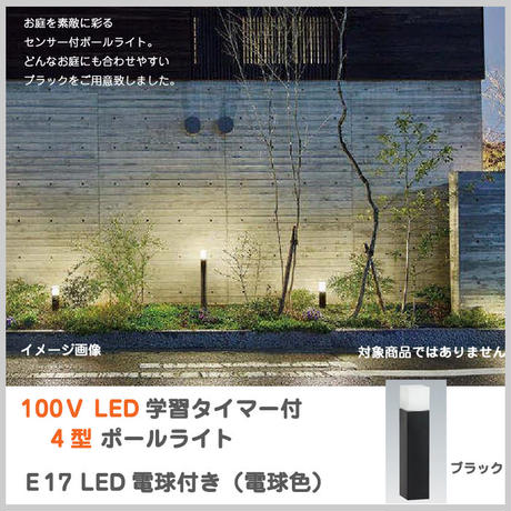 5c1861947cd36162de3f64d5