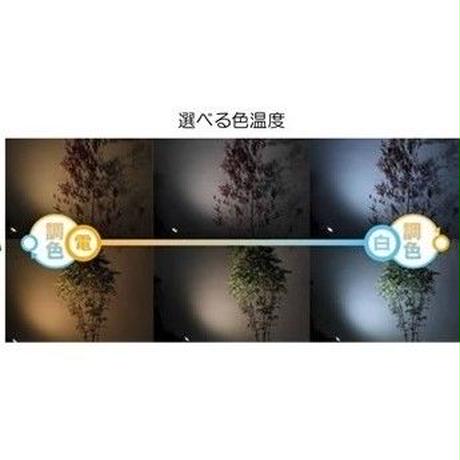 5c11c3a37cd36134e1d469ef