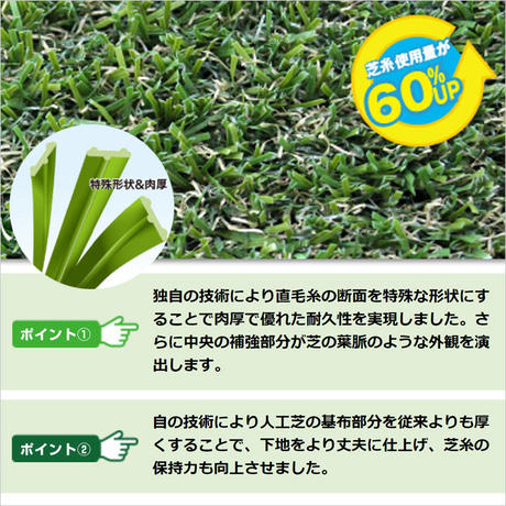5d11bf1a1bc6e833f7c952b6