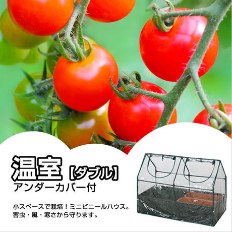 585b63a200d331926c001229