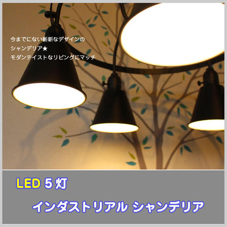 5c09ca06c49cf3505bb3b0b9