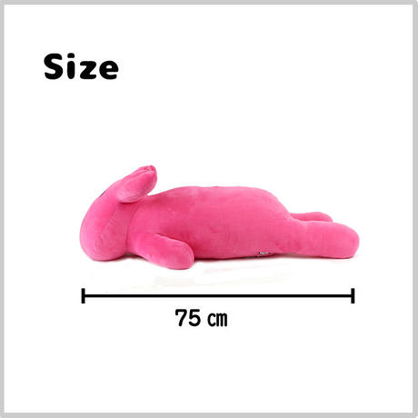 5d30125b3a7e9612209077c8