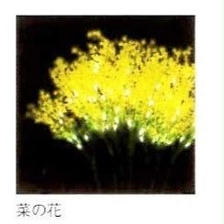 5b7e61285f78664d56000bbd