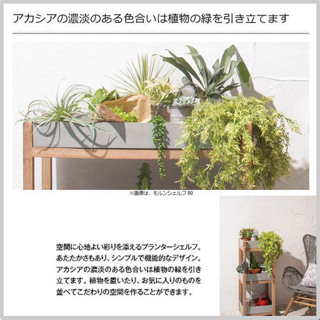 5c85db8e96b05065a87e3dcd