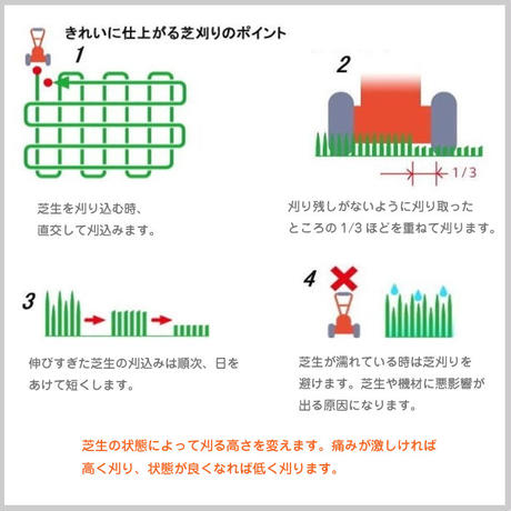 5d032ff2c0b0fd6c7b5b485b