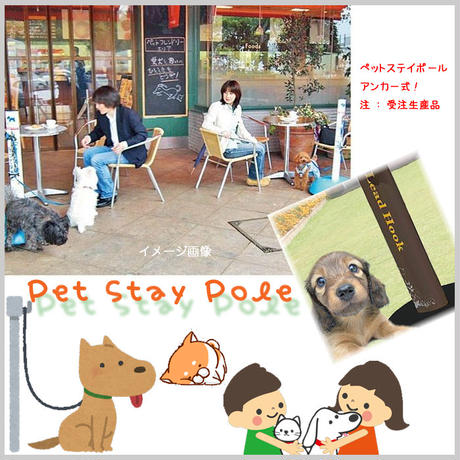 5be3e901626c843a9a0000f7