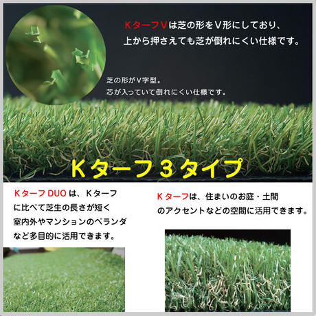 5d1589cd1bc6e8304ea56618