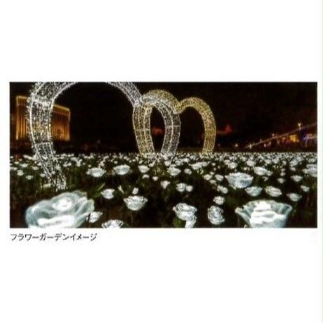 5b7e5a625496ff042d0009c7