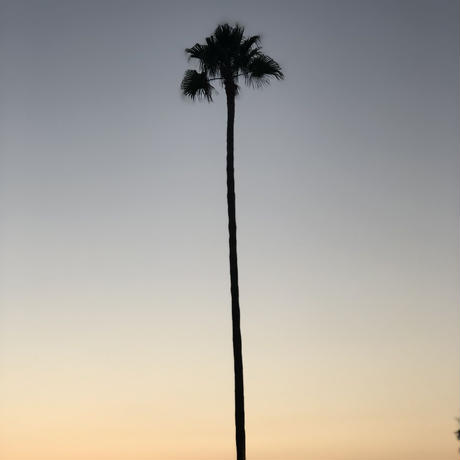 5a2142953210d50195000620
