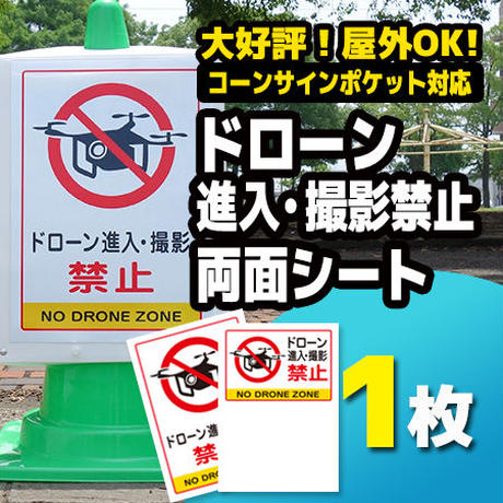 559e2a2dbfe24c4c4e00027b