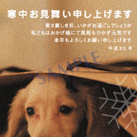 5c3075bcc49cf30fb59aaad7
