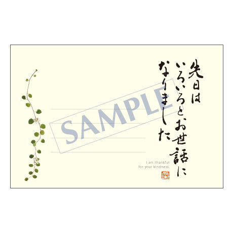 5bcfd37f5496ff5a3300016f
