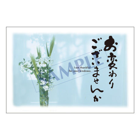 5bcff43a27b44e4f820000ec