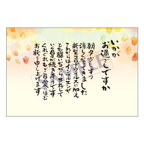 5f65951a8f2ebd0186993d23