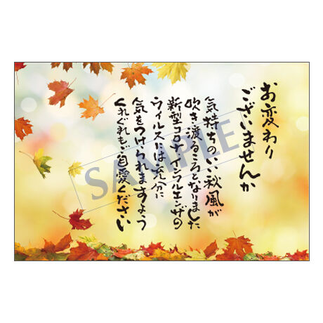 5f6595d38f2ebd1424993a46