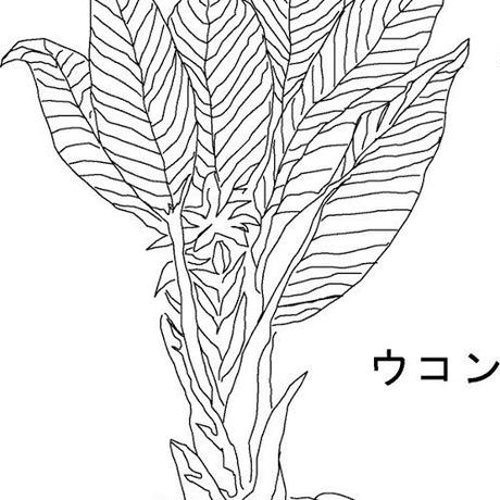 56ecba58bfe24c6584003527
