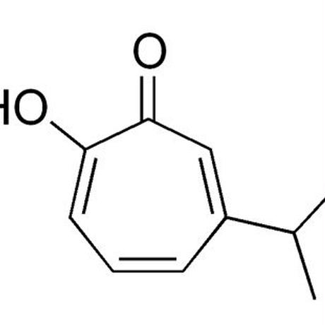 56ecc4703bcba98e33002caa