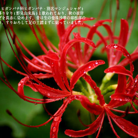 59cb21f7b1b61925be0007b7