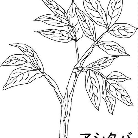 56ecba58bfe24c6584003527