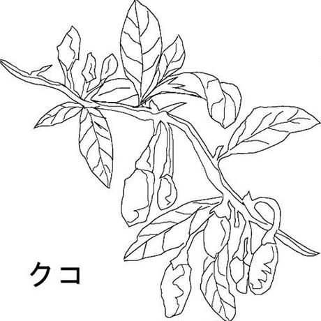 56ecb9febfe24cd91f0038dc