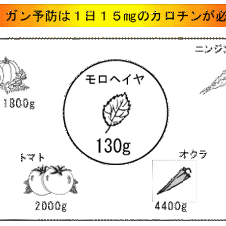 56ecb96cef33772505000b47