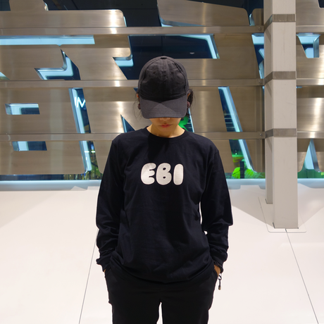 5be919e15f786667760001e0