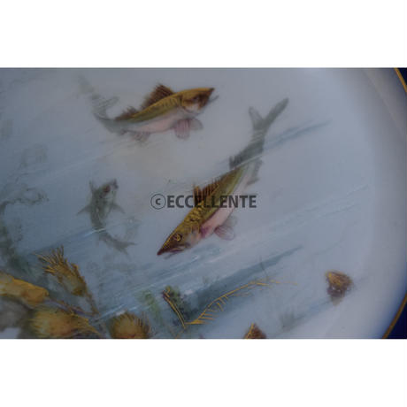 5c1a20a27cd361460655ef9c