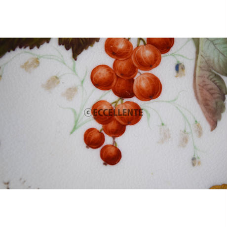 5e215ca6707cec27de8c0bdd