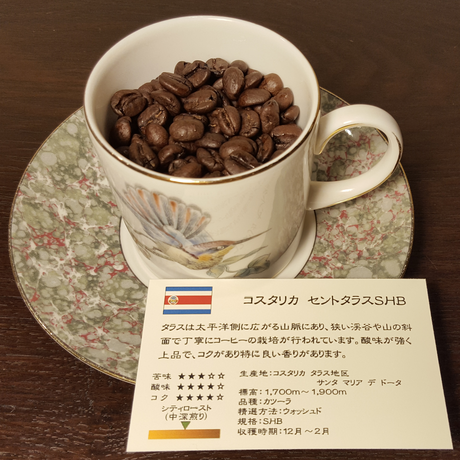 54e59b172b3492f61c002e88