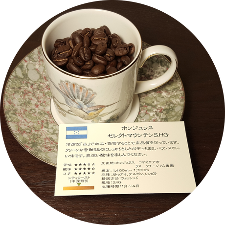 54e59b172b3492f61c002e88