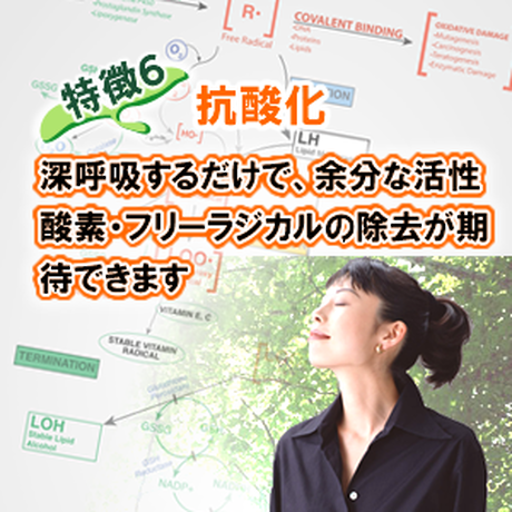 587802129821cc38bc004974