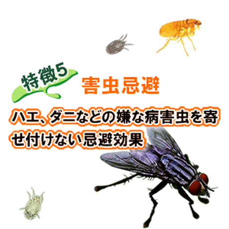 587802129821cc38bc004974