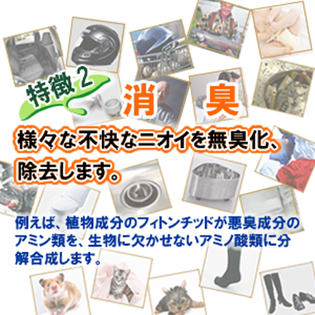 587802129821cc38bc004974