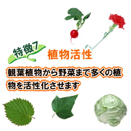 587802129821cc38bc004974