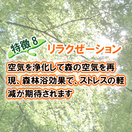 587802129821cc38bc004974