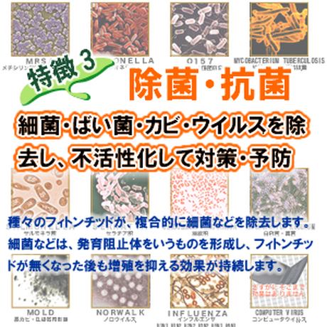 587802129821cc38bc004974