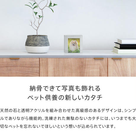 5a8792a527d1cc57b5001379