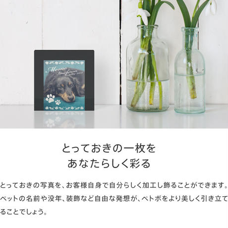 5a8792a527d1cc57b5001379
