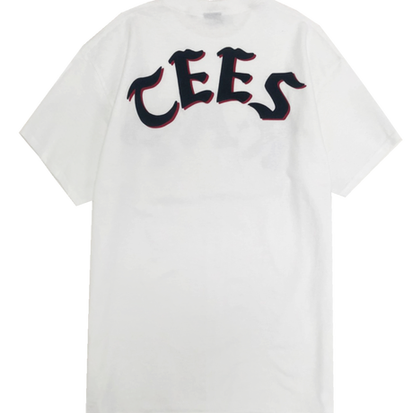 5ebe584355fa037c2271331e