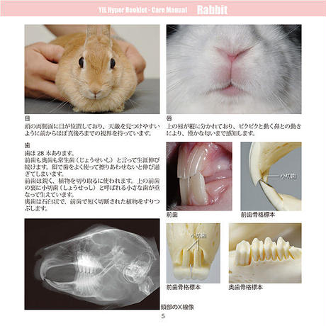 5d5bb8ad089c6663acd8fe59