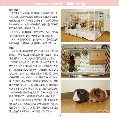 5d5bb8ad089c6663acd8fe5b