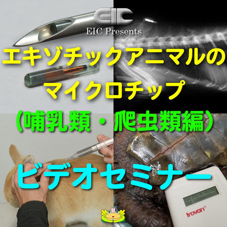 5e859e0c9df1633446b3c38b